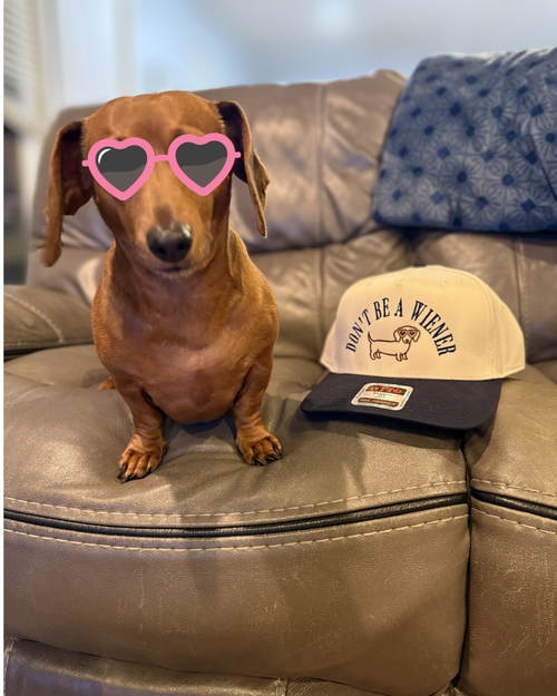 Don’t be a Wiener Embroidered Snapback